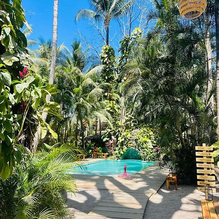 Norte Nosara - Steps To Playa Guiones 外观 照片