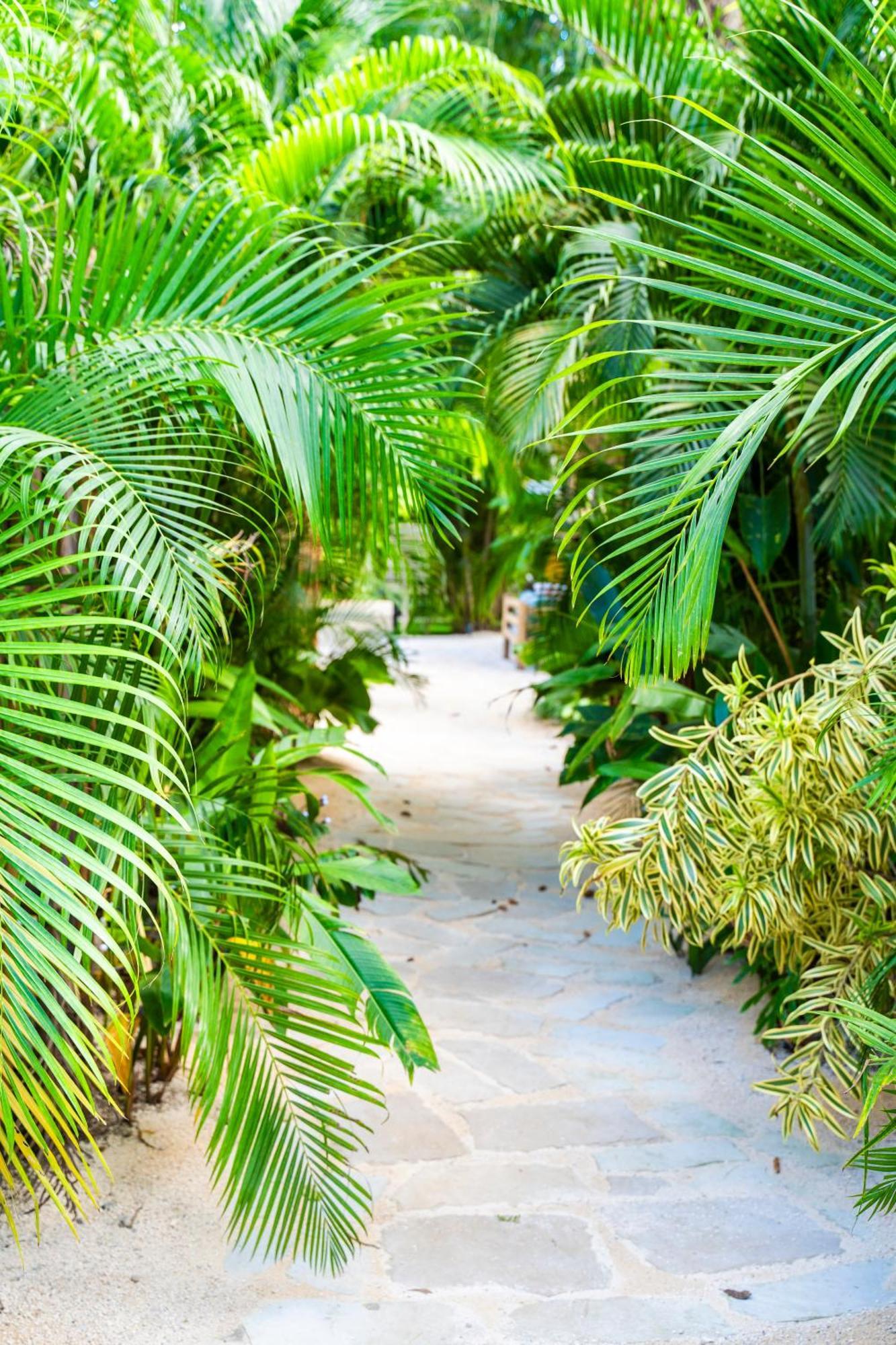 Norte Nosara - Steps To Playa Guiones 外观 照片
